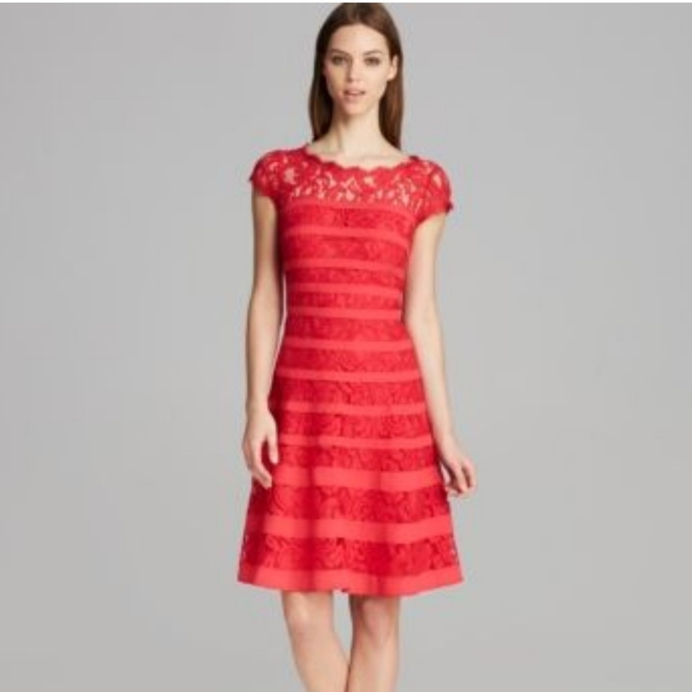 Adrianna Papell Lace Fit & Flare Pink Dress Sz 8P